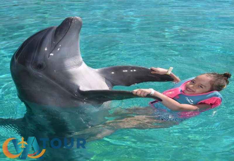Schwimmtour mit Delfinen von Antalya