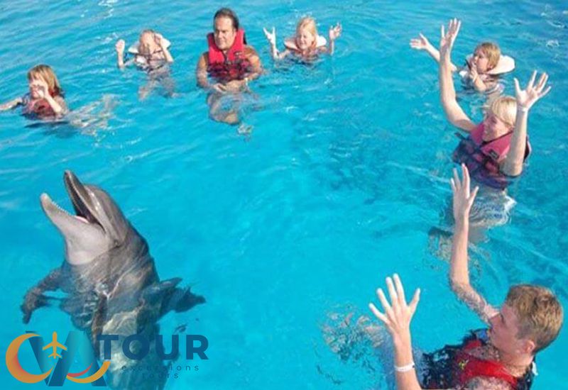 Schwimmtour Mit Delfinen Von Antalya