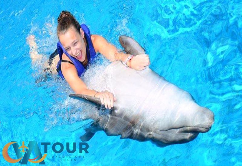 Плавание с дельфинами 