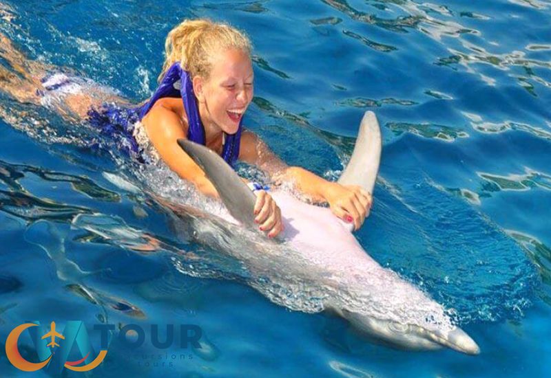 Плавание С Дельфинами 