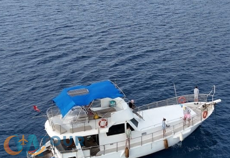 Private Fish Yacht Tour