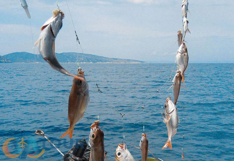 Индивидуальная рыбалка на вип яхте