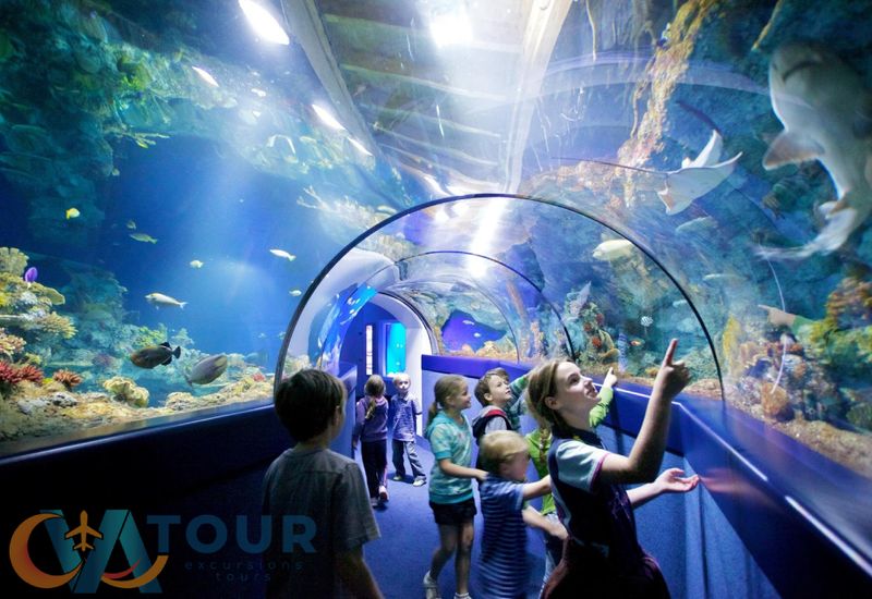 Aquarium Tour halbtags
