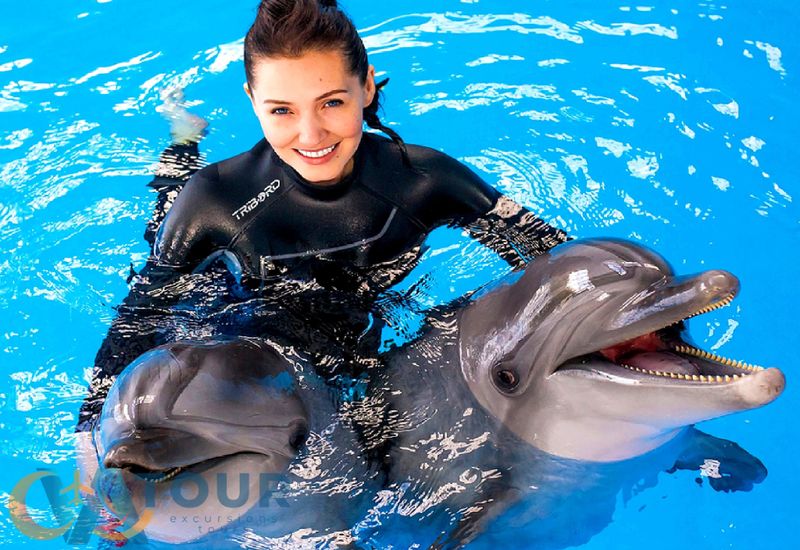 Delfinshow Schwimmen mit Delfinen Antalya