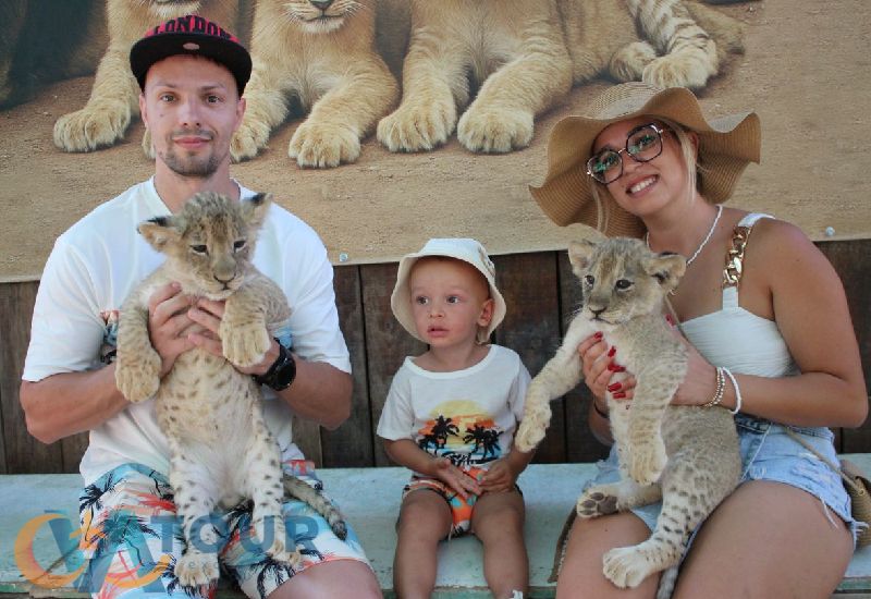 Löwen Panther Safari