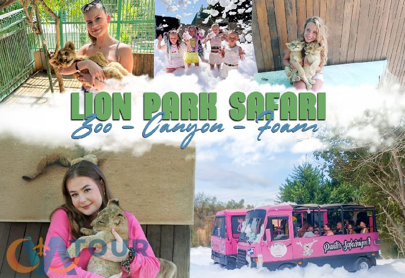 Löwen Panther Safari